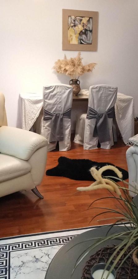 Lovely Cozy In The Entrance Of Nicosia *